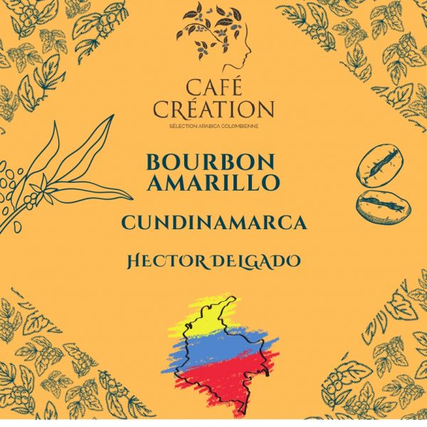 BOURBON AMARILLO CAFE COLOMBIE | Café Création