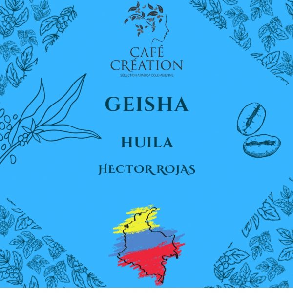 GEISHA CAFE COLOMBIE HUILA | Café Création